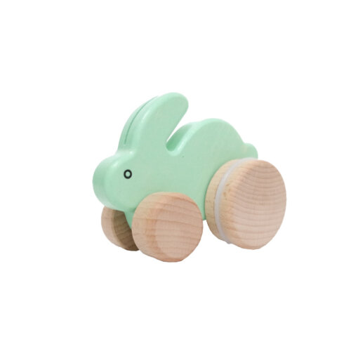 Hase türkis