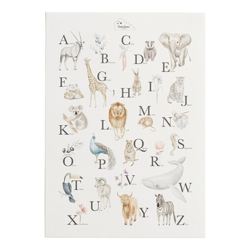 CamCam - Alphabet Poster
