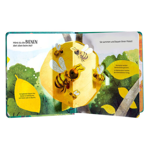 Haba - Mein Pop-up-Buch: Tiere am Tag - Image 2