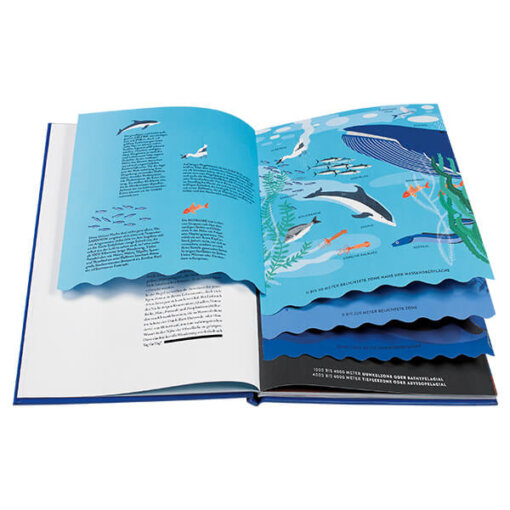 Kinderbuch - Ozeane - Die wunderbare Welt der Meere - Image 2