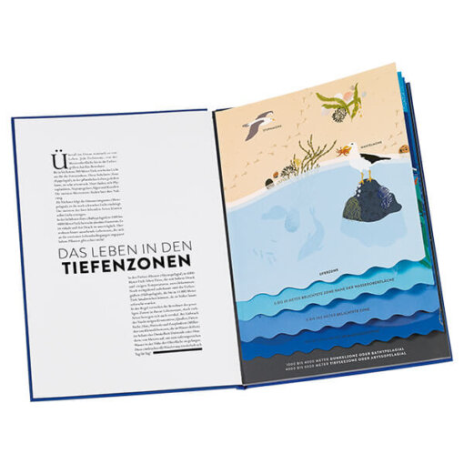 Kinderbuch - Ozeane - Die wunderbare Welt der Meere - Image 3